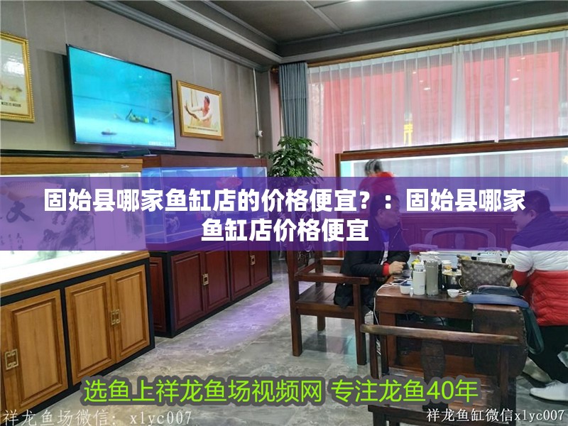 固始縣哪家魚缸店的價格便宜？：固始縣哪家魚缸店價格便宜
