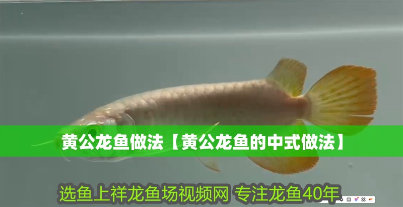 黃公龍魚做法【黃公龍魚的中式做法】