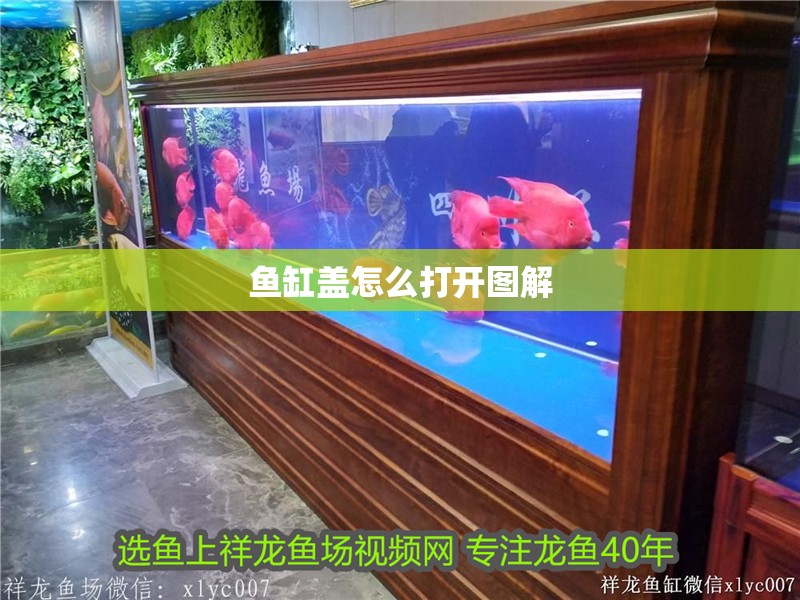 魚缸蓋怎么打開圖解