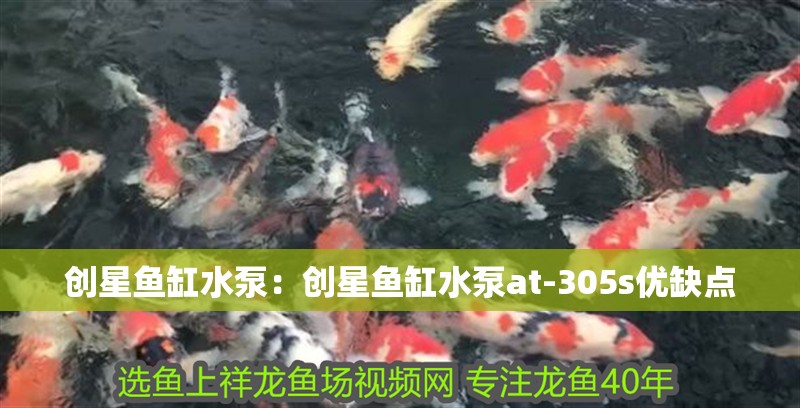 創星魚缸水泵：創星魚缸水泵at-305s優缺點