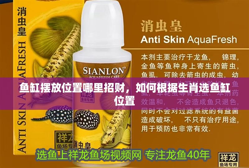 魚缸擺放位置哪里招財，如何根據生肖選魚缸位置