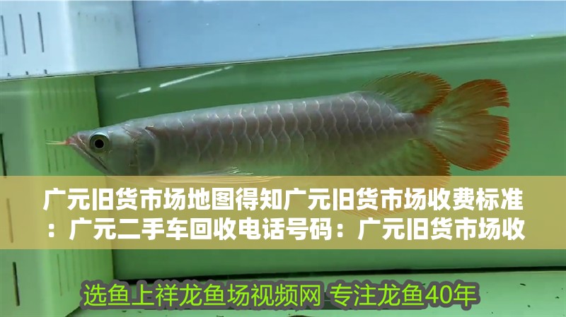 廣元舊貨市場地圖得知廣元舊貨市場收費標準：廣元二手車回收電話號碼：廣元舊貨市場收費標準一般
