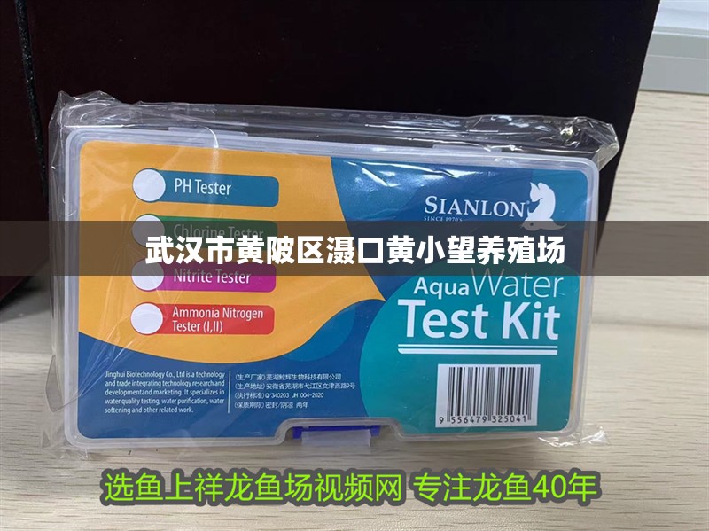 武漢市黃陂區灄口黃小望養殖場