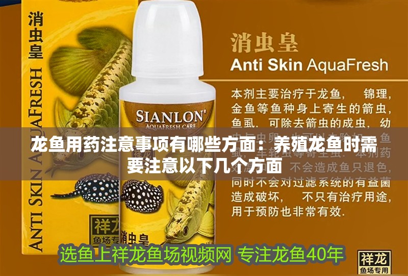 龍魚用藥注意事項有哪些方面：養殖龍魚時需要注意以下幾個方面