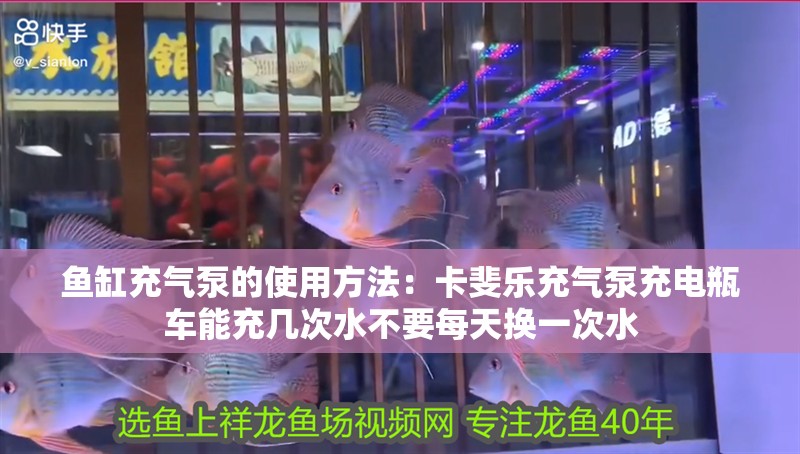 魚缸充氣泵的使用方法：卡斐樂充氣泵充電瓶車能充幾次水不要每天換一次水
