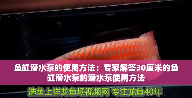 魚缸潛水泵的使用方法：專家解答30厘米的魚缸潛水泵的潛水泵使用方法