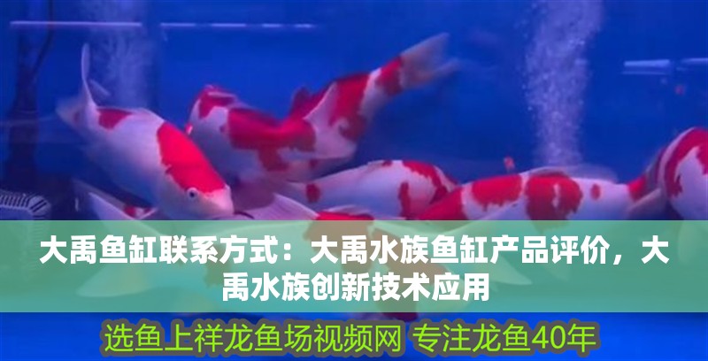 大禹魚缸聯系方式：大禹水族魚缸產品評價，大禹水族創新技術應用