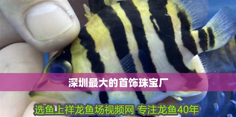 深圳最大的首飾珠寶廠