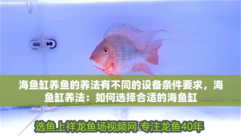 海魚缸養魚的養法有不同的設備條件要求，海魚缸養法：如何選擇合適的海魚缸