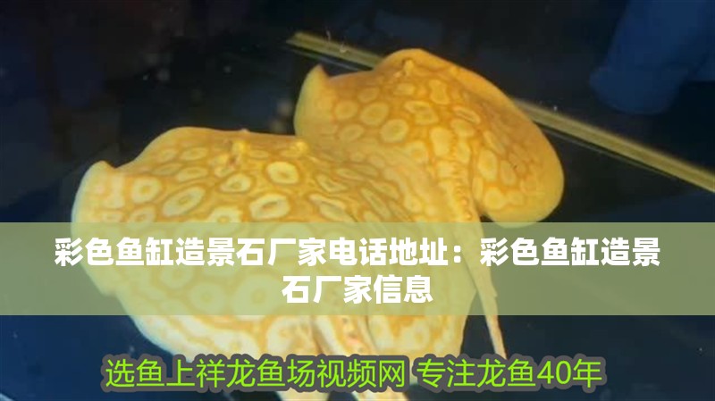 彩色魚缸造景石廠家電話地址：彩色魚缸造景石廠家信息
