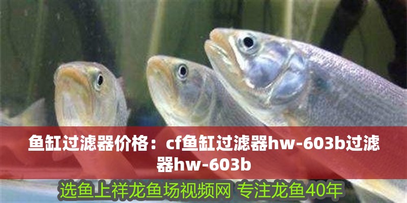魚缸過濾器價格：cf魚缸過濾器hw-603b過濾器hw-603b