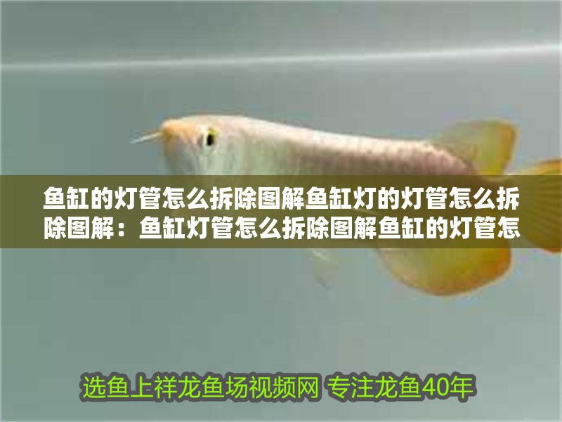 魚缸的燈管怎么拆除圖解魚缸燈的燈管怎么拆除圖解：魚缸燈管怎么拆除圖解魚缸的燈管怎么拆除圖解，魚缸燈管怎么拆除
