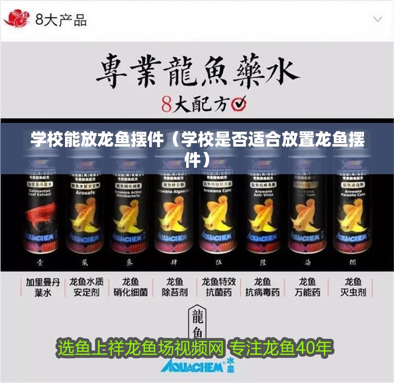 學校能放龍魚擺件（學校是否適合放置龍魚擺件）