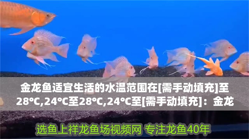 金龍魚適宜生活的水溫范圍在[需手動填充]至28℃,24℃至28℃,24℃至[需手動填充]：金龍魚適合多少溫度的水溫呢？ 金龍魚適宜生活的水溫范圍在[需手動填充]至28℃,24℃至28℃,24℃至[需手動填充]：金龍魚適合多少溫度的水溫呢？ 龍魚百科