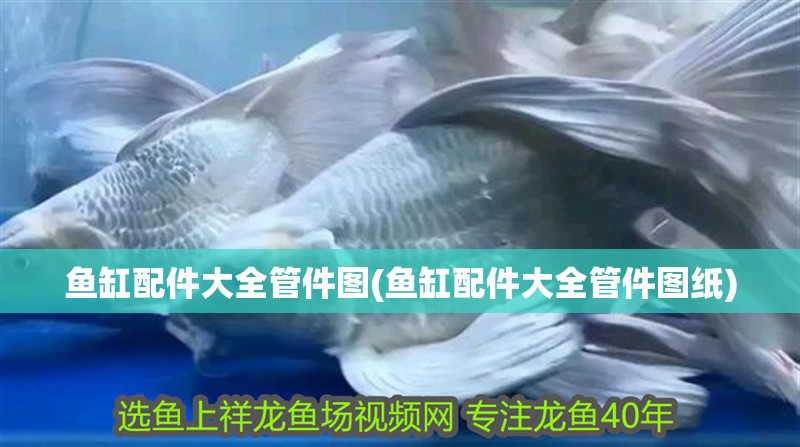 魚缸配件大全管件圖(魚缸配件大全管件圖紙)