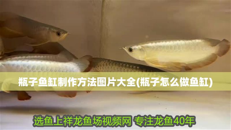 瓶子魚缸制作方法圖片大全(瓶子怎么做魚缸)