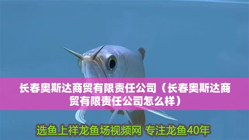 長(zhǎng)春奧斯達(dá)商貿(mào)有限責(zé)任公司（長(zhǎng)春奧斯達(dá)商貿(mào)有限責(zé)任公司怎么樣）