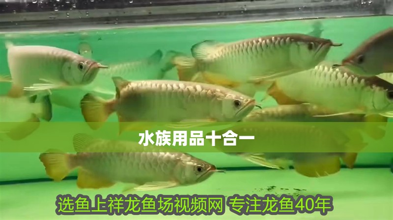 水族用品十合一