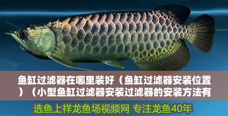 魚缸過濾器在哪里裝好（魚缸過濾器安裝位置）（小型魚缸過濾器安裝過濾器的安裝方法有哪些）