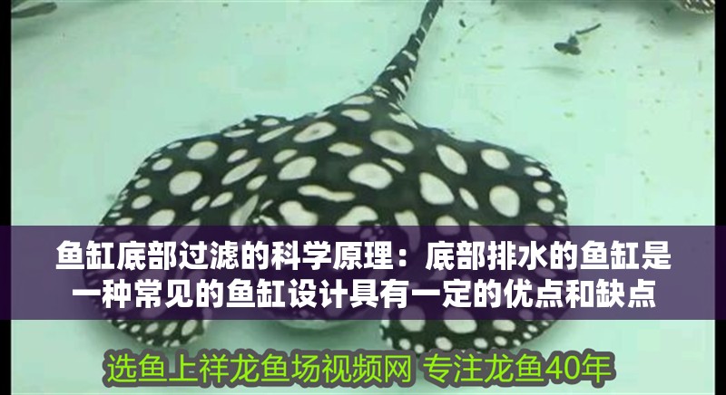 魚缸底部過濾的科學原理：底部排水的魚缸是一種常見的魚缸設計具有一定的優點和缺點