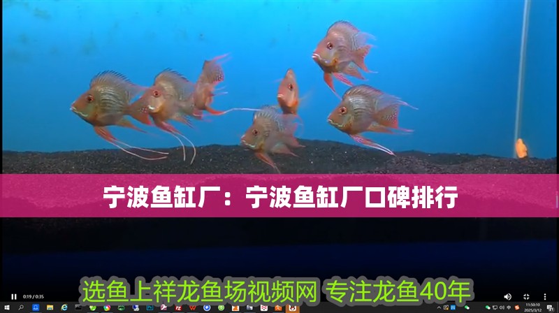 寧波魚缸廠：寧波魚缸廠口碑排行