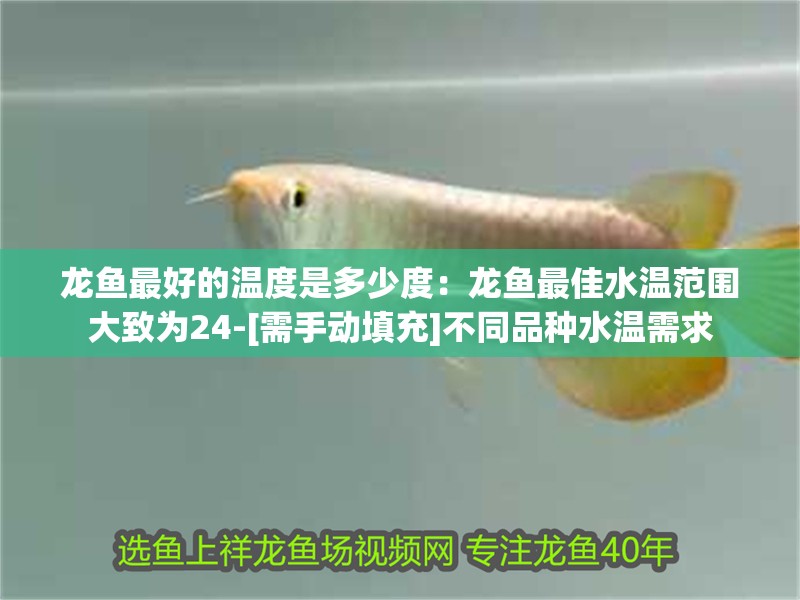 龍魚最好的溫度是多少度：龍魚最佳水溫范圍大致為24-[需手動填充]不同品種水溫需求
