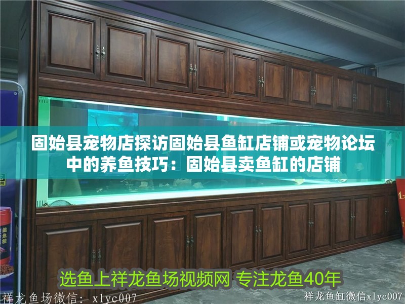 固始縣寵物店探訪固始縣魚缸店鋪或寵物論壇中的養魚技巧：固始縣賣魚缸的店鋪