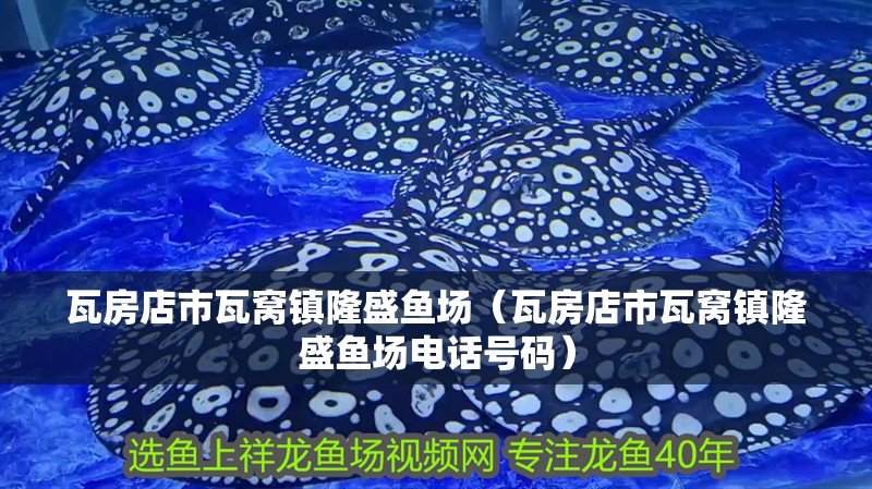 瓦房店市瓦窩鎮隆盛魚場（瓦房店市瓦窩鎮隆盛魚場電話號碼）