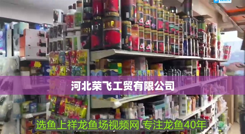 河北榮飛工貿有限公司