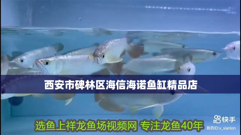 魚缸過濾器選購指南:自制魚缸過濾器魚缸上置過濾器對于養魚愛好者的必備知識 西安市碑林區海信海諾魚缸精品店 全國水族館企業名錄 西安市碑林區海信海諾魚缸精品店 西安市碑林區海信海諾魚缸精品店 全國水族館企業名錄
