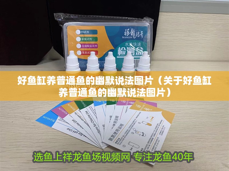 好魚缸養普通魚的幽默說法圖片（關于好魚缸養普通魚的幽默說法圖片）