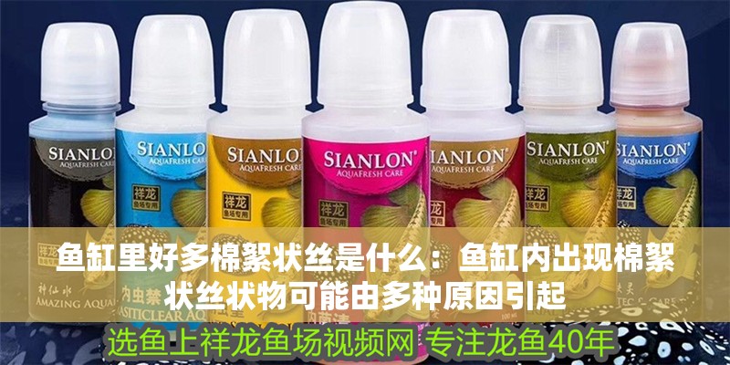 魚(yú)缸里好多棉絮狀絲是什么：魚(yú)缸內(nèi)出現(xiàn)棉絮狀絲狀物可能由多種原因引起