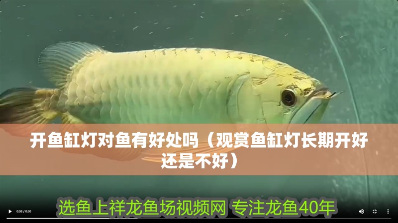 開(kāi)魚缸燈對(duì)魚有好處嗎（觀賞魚缸燈長(zhǎng)期開(kāi)好還是不好）