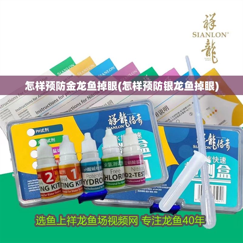 怎樣預防金龍魚掉眼(怎樣預防銀龍魚掉眼)