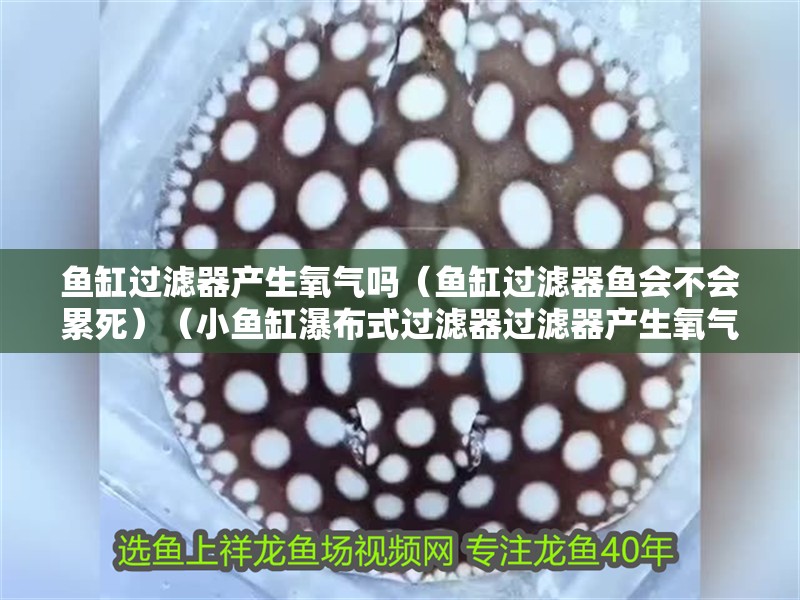 魚缸過(guò)濾器產(chǎn)生氧氣嗎（魚缸過(guò)濾器魚會(huì)不會(huì)累死）（小魚缸瀑布式過(guò)濾器過(guò)濾器產(chǎn)生氧氣嗎）
