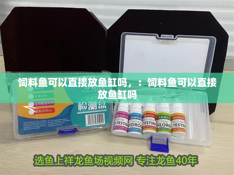 飼料魚可以直接放魚缸嗎，：飼料魚可以直接放魚缸嗎