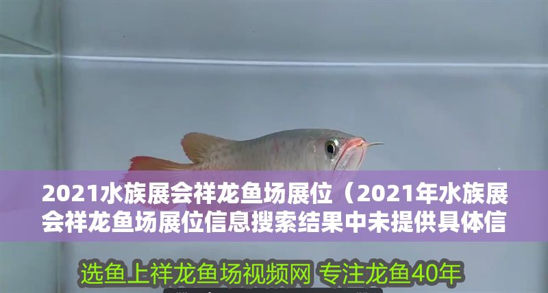 2021水族展會祥龍魚場展位（2021年水族展會祥龍魚場展位信息搜索結果中未提供具體信息）