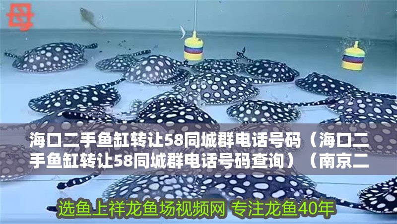海口二手魚缸轉讓58同城群電話號碼（海口二手魚缸轉讓58同城群電話號碼查詢）（南京二手魚缸轉讓58同城群電話號碼）