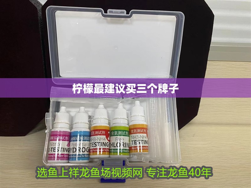 檸檬最建議買三個牌子