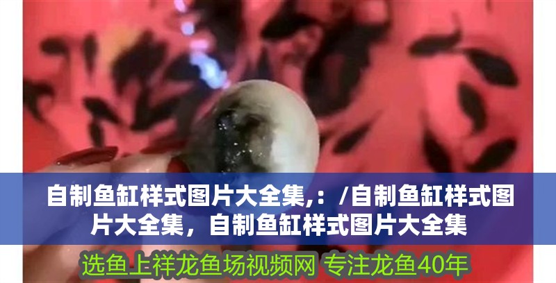 自制魚缸樣式圖片大全集,：/自制魚缸樣式圖片大全集，自制魚缸樣式圖片大全集
