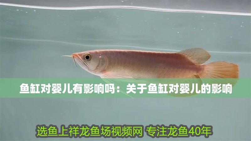 魚缸對嬰兒有影響嗎：關于魚缸對嬰兒的影響