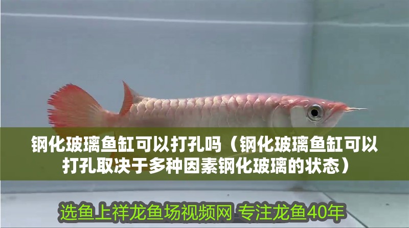 鋼化玻璃魚缸可以打孔嗎（鋼化玻璃魚缸可以打孔取決于多種因素鋼化玻璃的狀態）