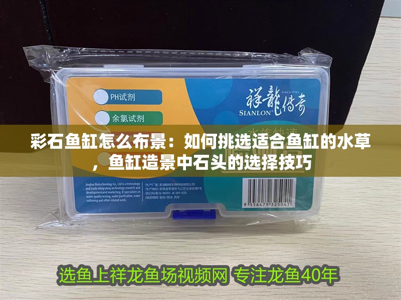 彩石魚缸怎么布景：如何挑選適合魚缸的水草，魚缸造景中石頭的選擇技巧