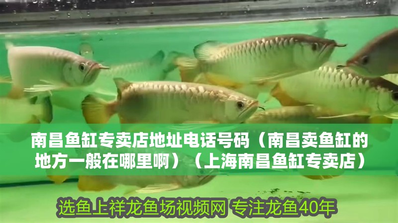 南昌魚缸專賣店地址電話號碼（南昌賣魚缸的地方一般在哪里啊）（上海南昌魚缸專賣店）