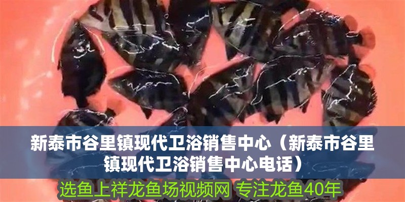 新泰市谷里鎮現代衛浴銷售中心（新泰市谷里鎮現代衛浴銷售中心電話）