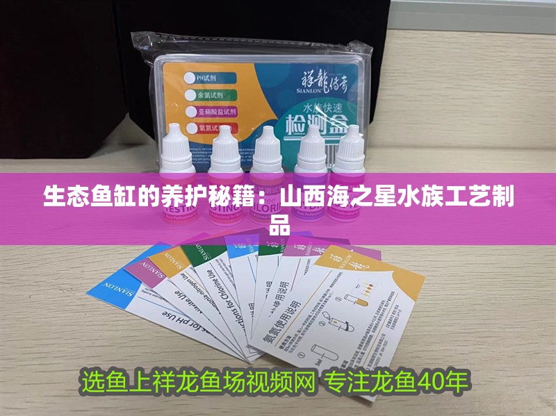 生態魚缸的養護秘籍：山西海之星水族工藝制品