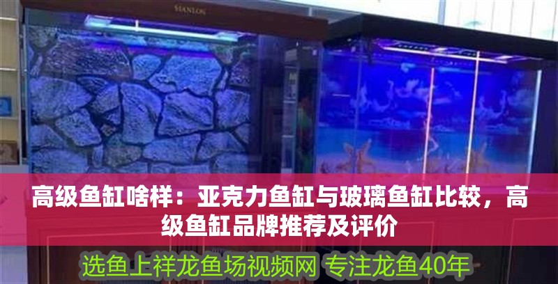 高級魚缸啥樣：亞克力魚缸與玻璃魚缸比較，高級魚缸品牌推薦及評價