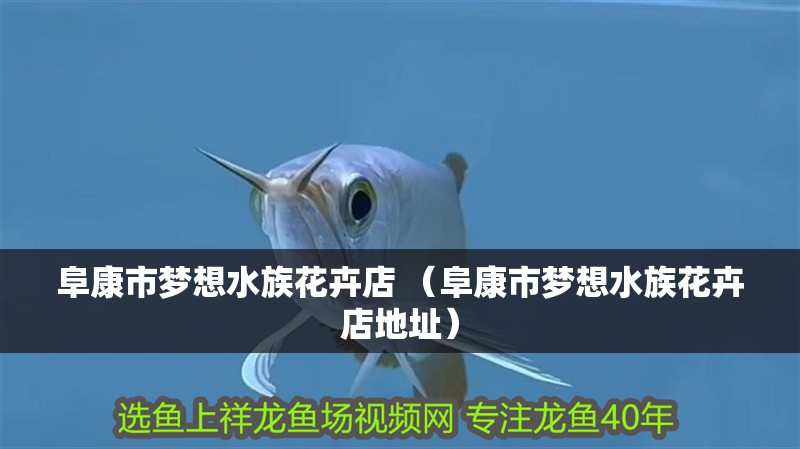 <strong><mark>阜康</mark></strong>市夢想水族花卉店 （<strong><mark>阜康</mark></strong>市夢想水族花卉店地址）