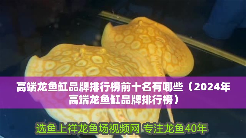 高端龍魚缸品牌排行榜前十名有哪些（2024年高端龍魚缸品牌排行榜）