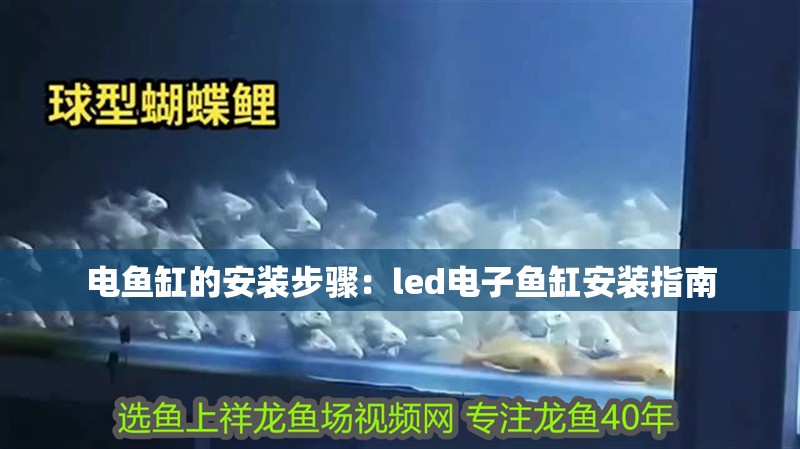 電魚缸的安裝步驟：led電子魚缸安裝指南